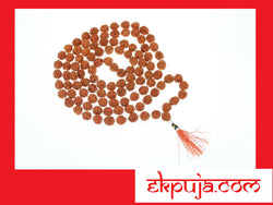 108+1 beads 8mm Natural Rudraksha Seed Beads - Nepalese Tibetan Rudraksha Seed Prayer Mala Beads