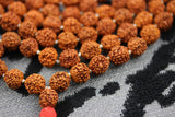 10MM Rudraksha Mala Yoga Meditation Hindu Prayer Beads 108+1 Rudraksha Beads Mala with Red Tassel