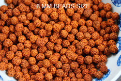 200 Rudraksha Beads/Rudraksha Loose Beads/Rudraksha 8MM Beads/Bracelet Rudraksha Beads/ 8MM/200 Beads