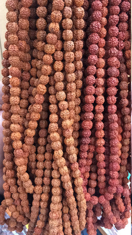 Rudraksha Beads - Natural Rudraksha Beads 8MM - Loose Rudraksh Beads - 10,25,50,100 Rudraksha beads