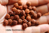 200 Rudraksha Beads/Rudraksha Loose Beads/Rudraksha 10MM Beads/Bracelet Rudraksha Beads/ 10MM/200 Beads