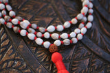 Vaijanti (Job&#39;s Tears) Japa Mala with Rudraksha guru bead 108 beads purified & blessed mala
