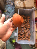 Clay Diya Pot - Handmade Diya Clay Pot DIWALI Lamp - 6 Large Big Clay Diya set - Large clay diya dipak